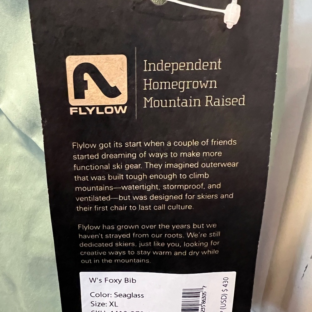 Women’s Flylow foxy snow pants- Sage Green - Picture 6 of 12